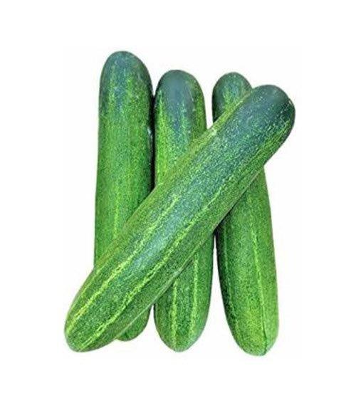 Cucumber 1 KG - Daily Growcer